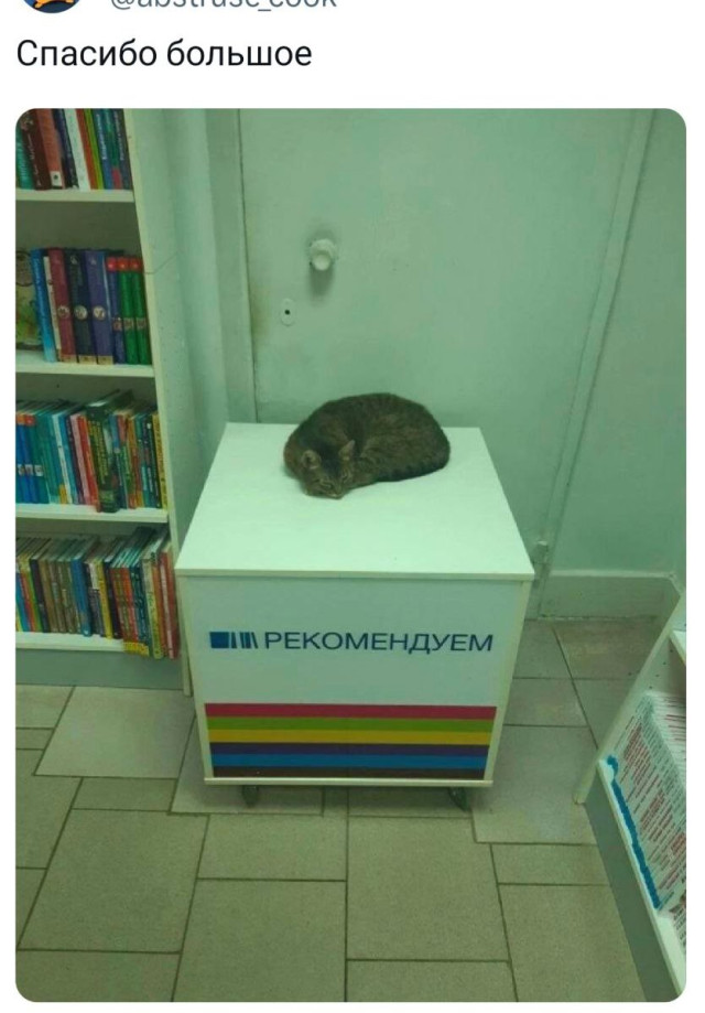 Прикольные твиты: «Оказывается, если прикольно проводить время…» 