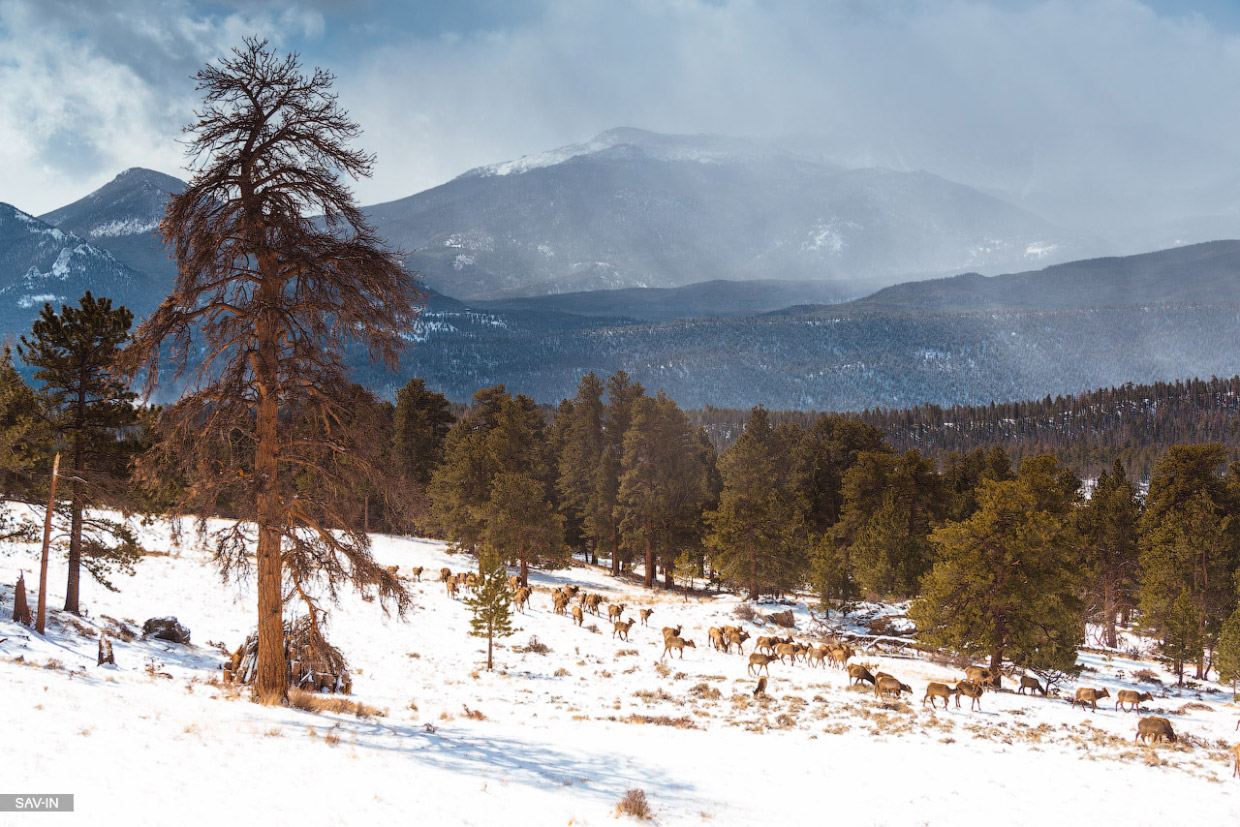 Колорадо. Национальный парк Rocky Mountain 