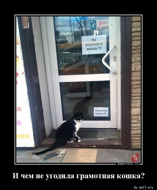 Демотиваторы в середине недели: «Вчера здесь было три кабачка» 