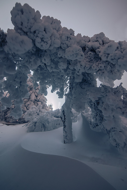 Зима в Пятигорске зима, природа, пятигорск, фото