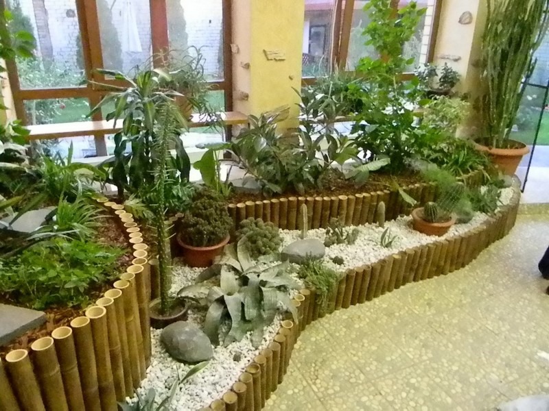 Картинки зимний сад в детском саду