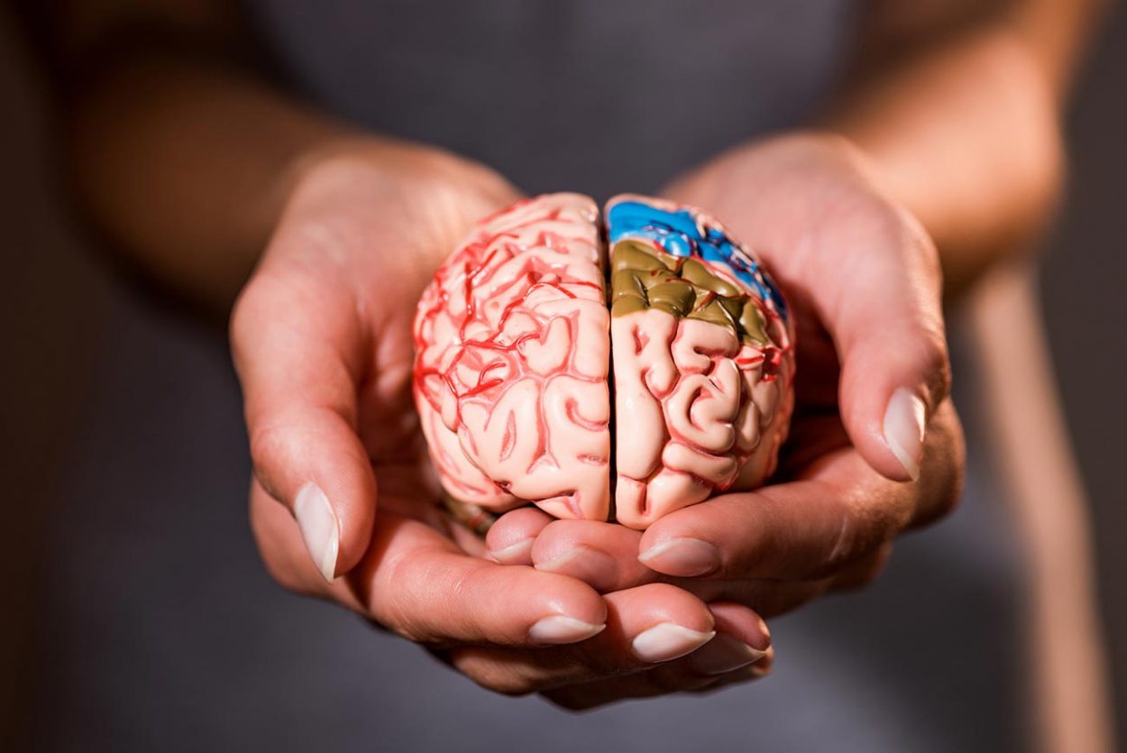 30 удивительных фактов о мозге и мышлении, которые заставляют призадуматься интересные факты,мозг,мышление,человек