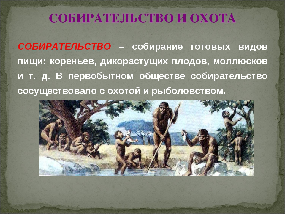 Древние люди параграф. Собирательство в первобытном обществе. Охота и собирательство. Охота и собирательство древних людей. Древнейшие люди собирательство.