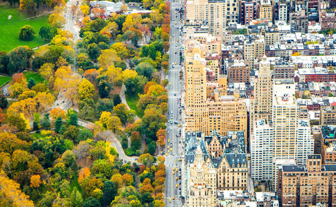 Divide
Автор: Кэтлин Долматч
Каноничное разделение природы и мегаполиса привлекает многих фотографов. На снимке — Центральный Парк и Манхеттн.