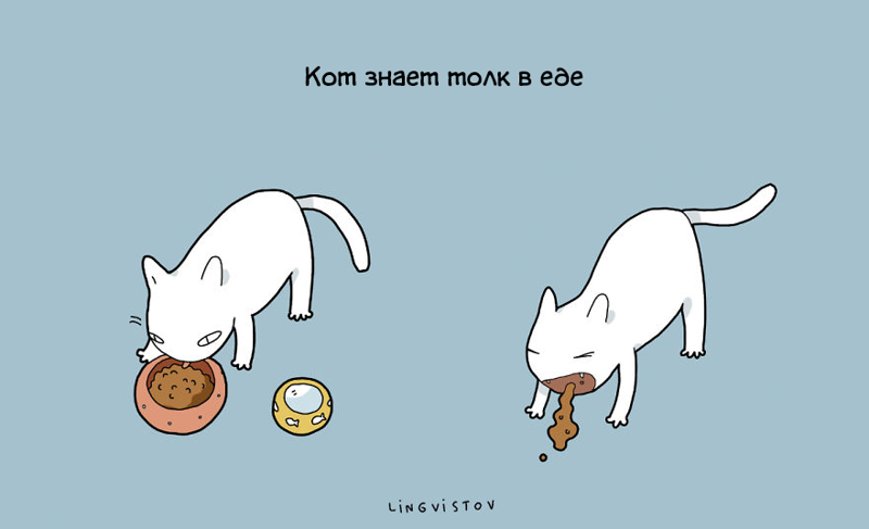 21 преимущество жизни с котом животные, иллюстрации, кошки