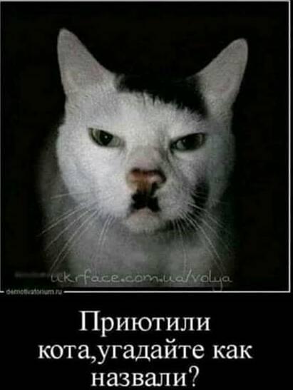 - Скажите, а окулист сегодня принимает? - Ой не спрашивайте, уже две недели не просыхает! давай, чтобы, спрашивает, слова, немного, будет, женщин, которые, придумали, позволь, половина, Какое, долларов, говорит, гласные, катали, поприкалываемся, просто, только, звуки