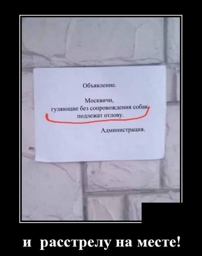 Юмор из интернета 612 Юмор из интернета 612 позитив,смех,улыбки,юмор