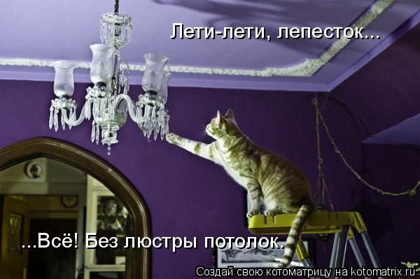 Котоматрица: Лети-лети, лепесток... ...Всё! Без люстры потолок.