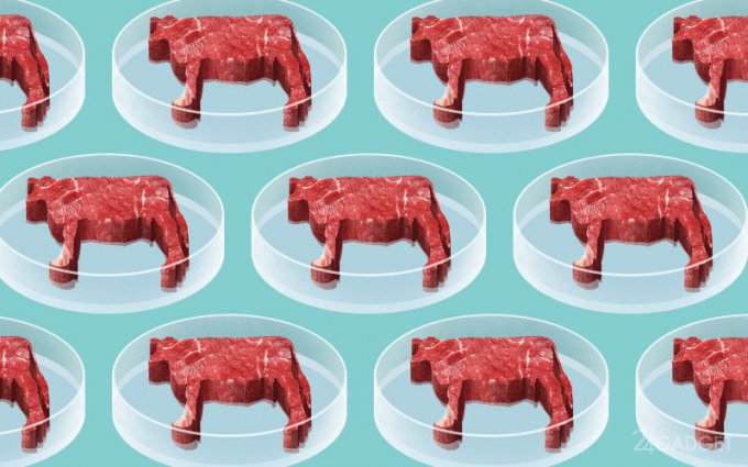 Брэнсон и Гейтс готовы кормить людей мясом из пробирки Брэнсон и Гейтс готовы кормить людей мясом из пробирки гаджеты,интересное,техника,технологии