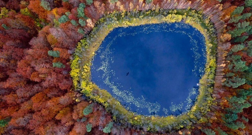 Красочные фотографии о том, насколько волшебна осень в Польше