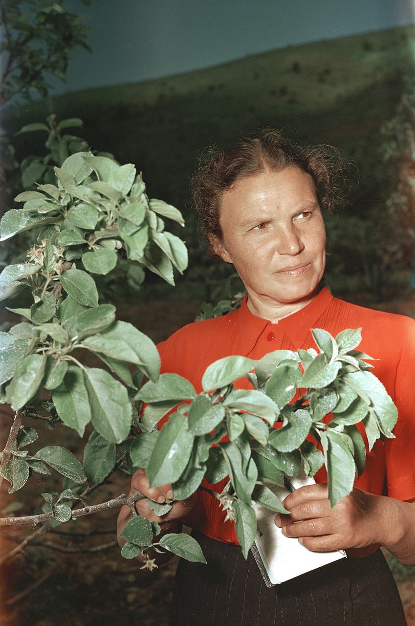 Советские лица в фотографиях Семена Фридлянда ностальгия, лица, ссср, люди