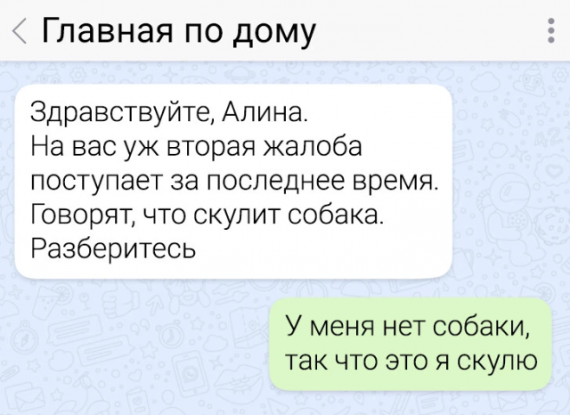 Перлы из мессенджеров: Смех, абсурд и гениальность в смс-переписках Перлы из мессенджеров: Смех, абсурд и гениальность в смс-переписках