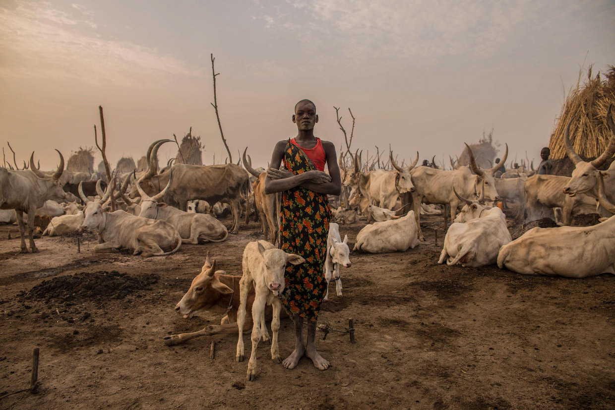 Жизнь суданских скотоводов