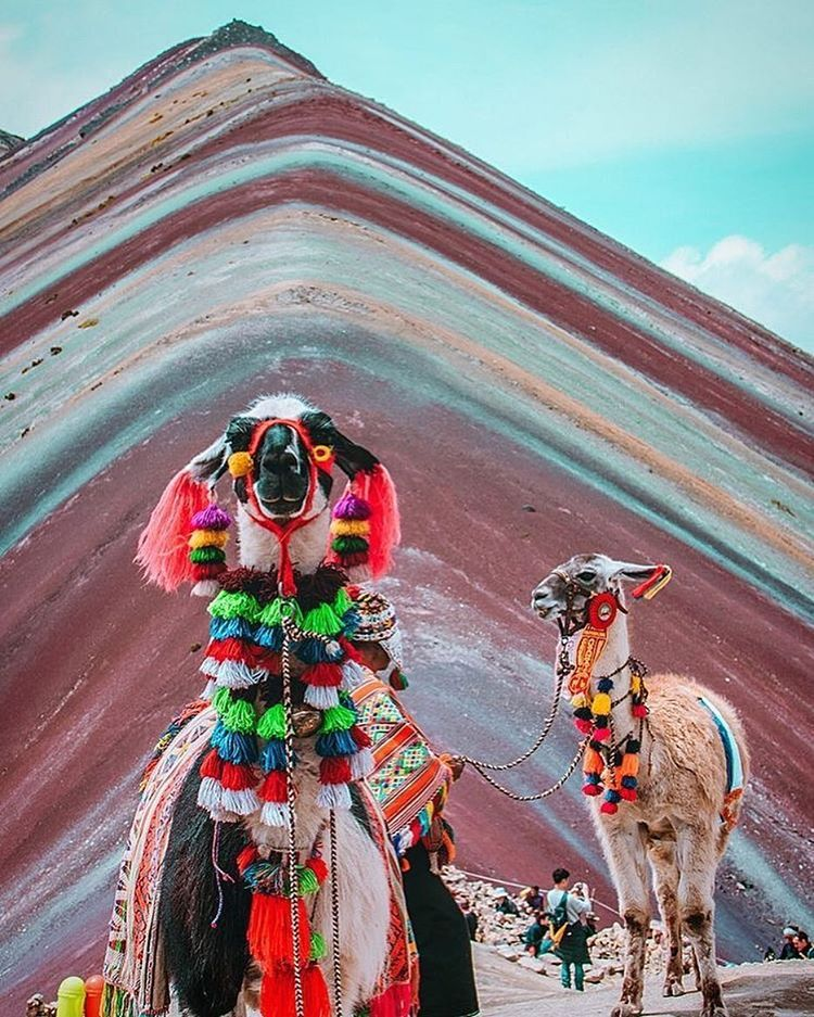 11. ���������, ��� �� ��������-��-���� �����, �������� �� ������� ��� �������� ����, ����    � ���� ���� ��������� �����, ����� � �������, �� ��������� � ������ ������.-3