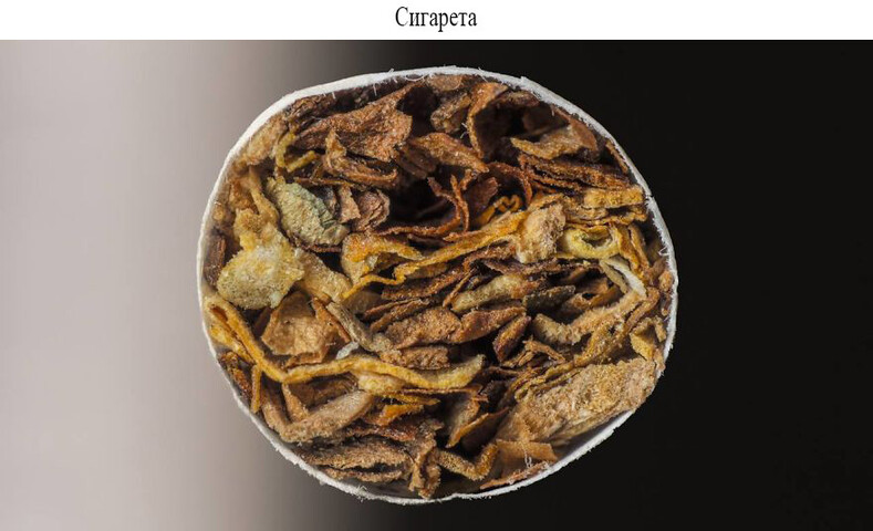 10 фантастических фото привычных вещей в макрообъективе 10 фантастических фото привычных вещей в макрообъективе супер