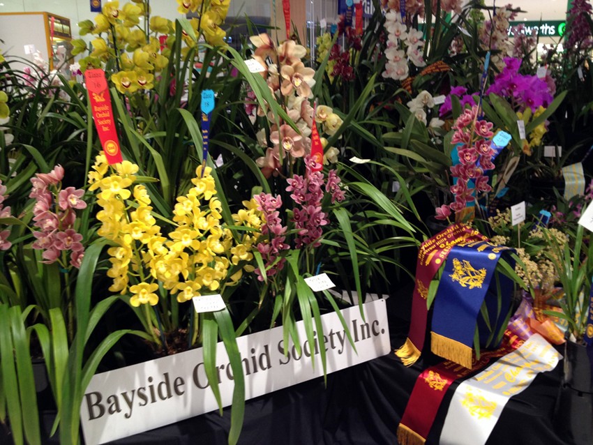 Фестиваль орхидей в Токио (Япония)