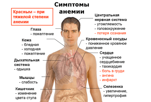 Как мы убиваем свою кровь. Статья, написанная врачом, которую должен прочитать каждый!