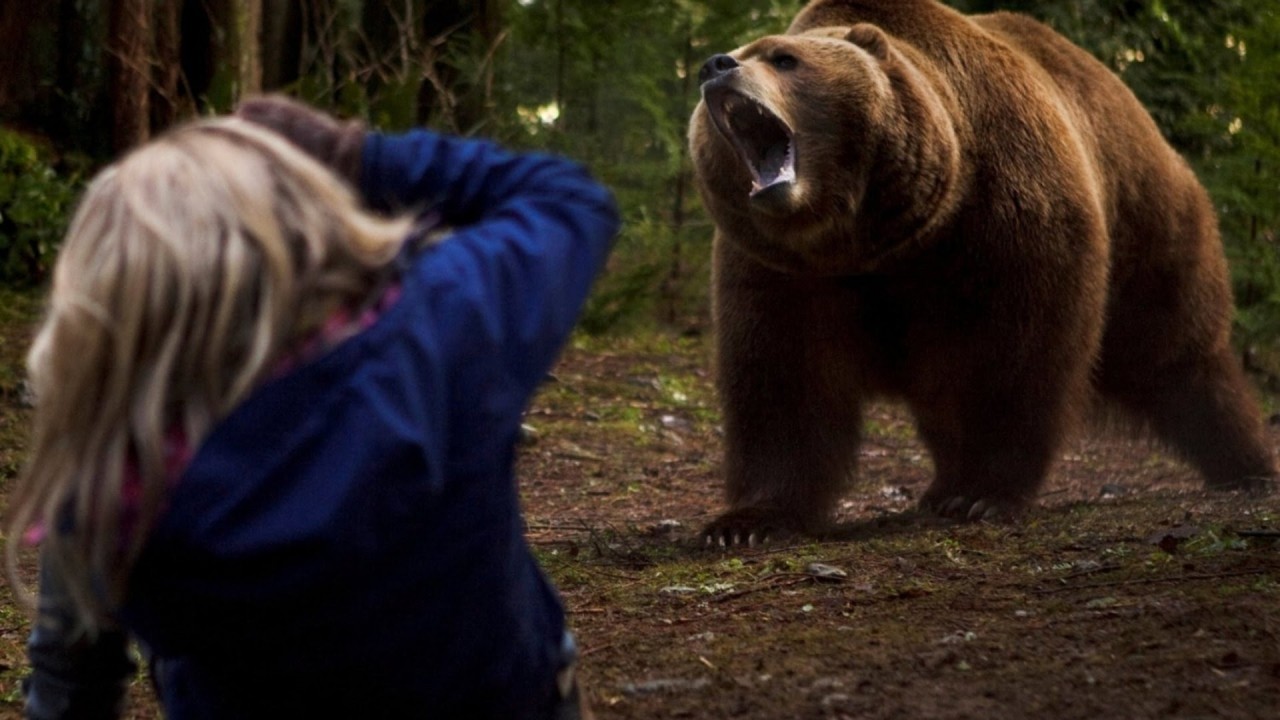 Нападение медведя на человека фото