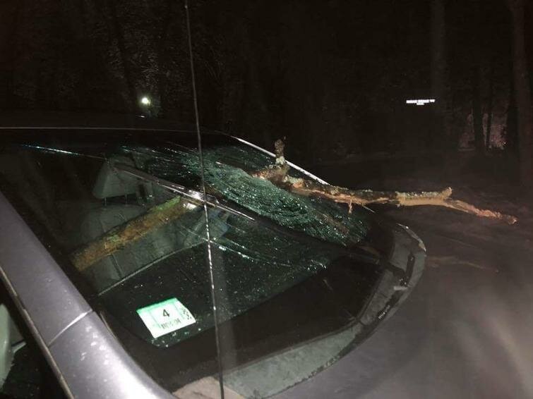 В городе Литлтон, США, внезапно упавшая ветка пробила лобовое стекло автомобиля авто, в мире, дорога, за рулем, опасно, подборка, прилетело