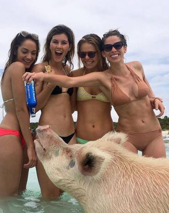 pokazat-video-raskreposhennih-devits