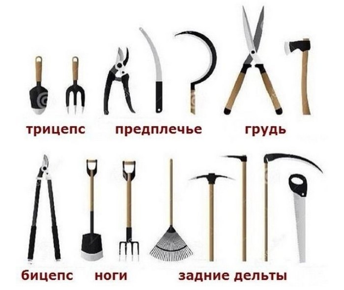 Рогалик- это женатый колобок ))) анекдоты