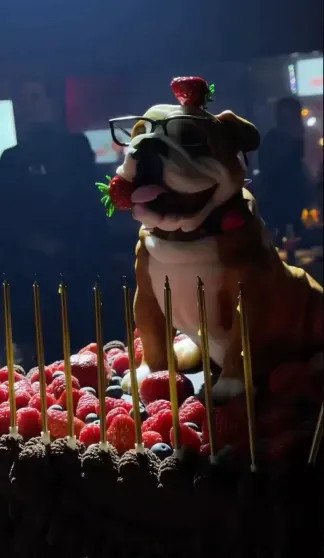 Гости из Comedy Club и торт в виде собаки: Катерина Ковальчук устроила вечеринку-сюрприз для мужа Гарика Харламова в честь его 45-летия Харламов, Гарика, Катерина, КовальчукГарик, рождения, Ковальчук, Гарик, именинника, юморист, Кравец, Марина, женат, Асмус, которой, ягодка, опять, Дорохов, устроила, ХарламовГарик, КовальчукСёстры