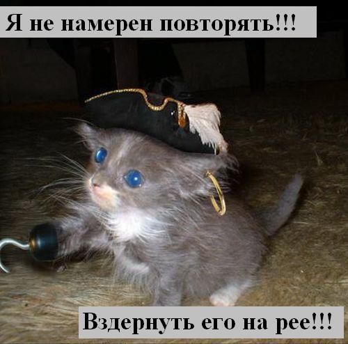 Мысли :) (50мыслей)