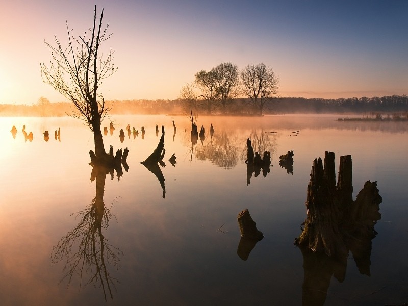 Фотография Misty Morning at Kotvice Pond автор Jan Bainar на 500px