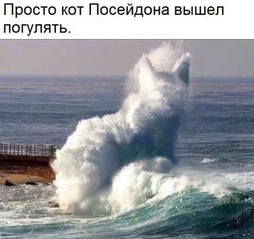 Новые прикольные фотомемы (26 шт)