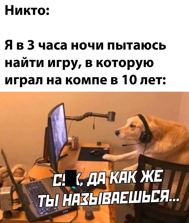 Подборка картинок. Вечерний выпуск  приколы,смешные картинки,юмор