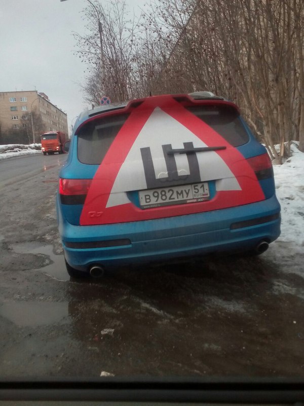 Картинки по запросу Про шипы