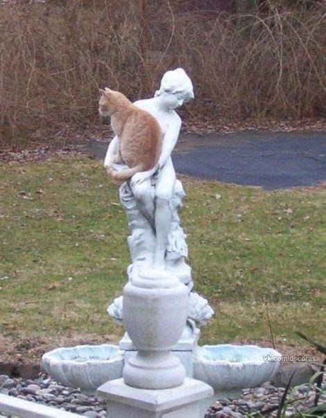 Прикольные и классные картинки из нашей жизни 