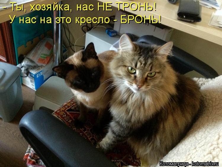 http://mtdata.ru/u23/photo0FD7/20942447845-0/original.jpg