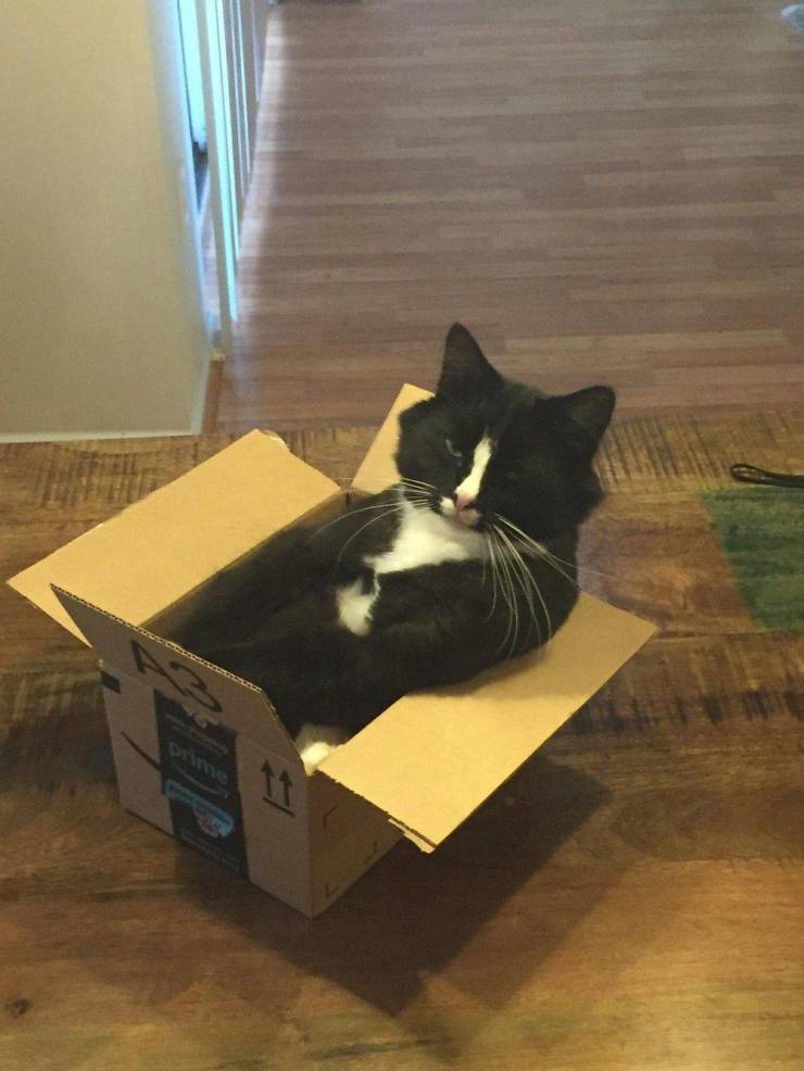 Подборка прикольных картинок  приколы,смешные картинки,юмор