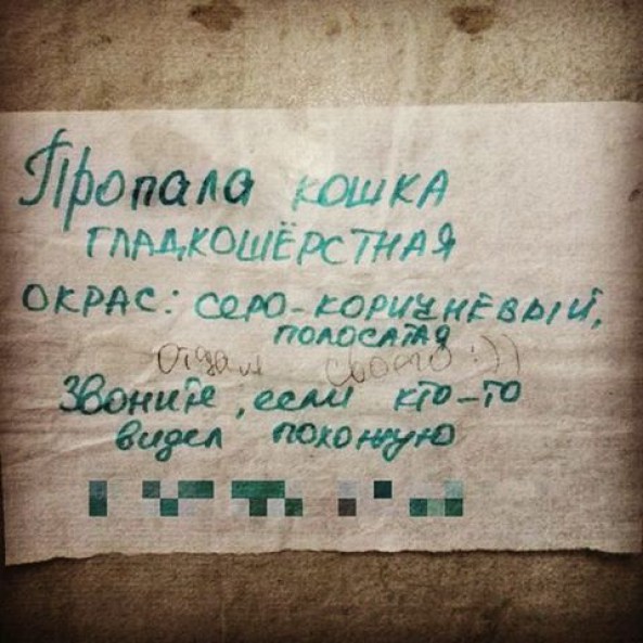 записки от солидарных соседей 