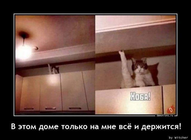 Демотиваторов свежая порция: «В этом доме…»