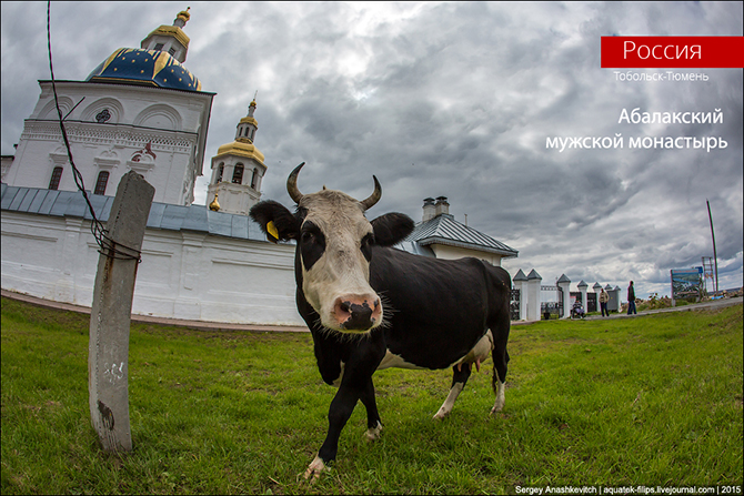 Абалакский мужской монастырь