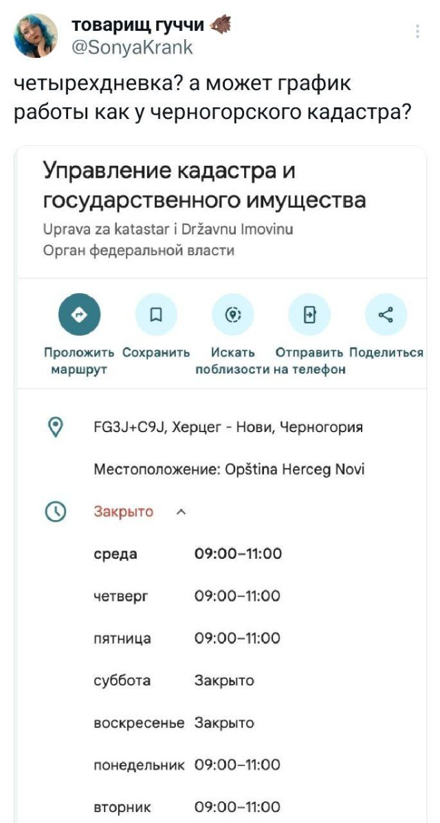 Прикольные комментарии: «Почему мы плачем, когда страдает лук?» 