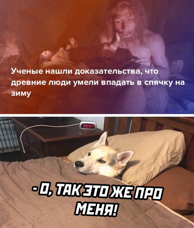 Подборка картинок. Вечерний выпуск 