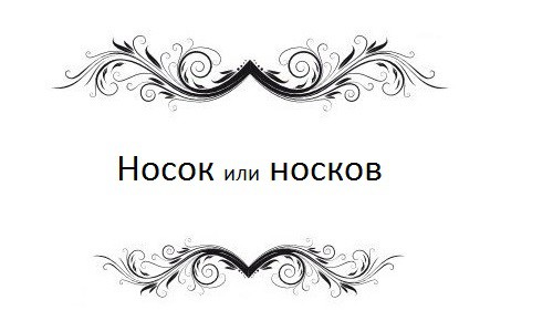 14 русских слов, в которых каждый хоть раз делал ошибку   ошибка, русский язык, слова