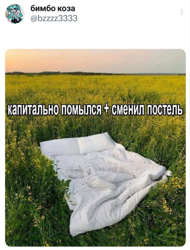 Прикольные комментарии: «Почему мы плачем, когда страдает лук?» 