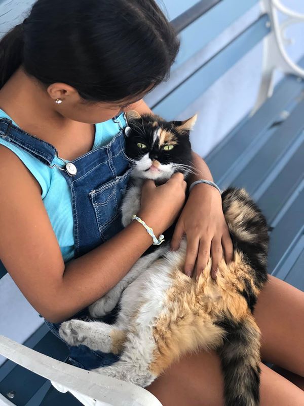 девушка с кошкой