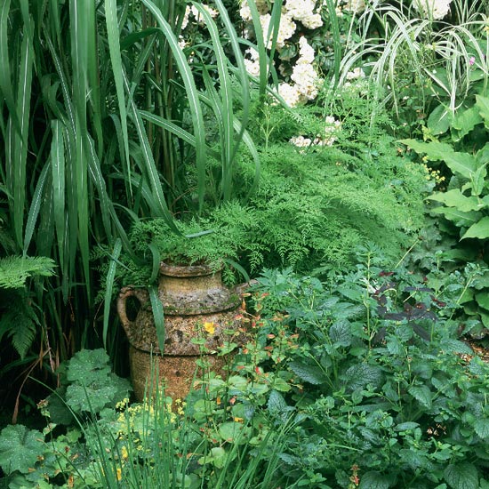 wild-garden-inspiration-secret-nook4.jpg wild-garden-inspiration-secret-nook4.jpg