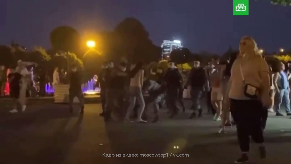 Активисты «Лев против» устроили потасовку с десантниками в парке Горького