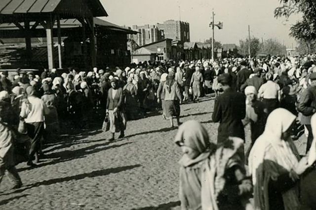 Операция «Погреб». Как фашисты попались в ловушку, подстроенную детьми