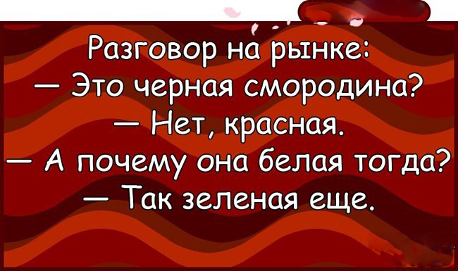 Анекдоты — шедевр! 23 ярких доказательства от «Рассмеши Мозг» анекдоты