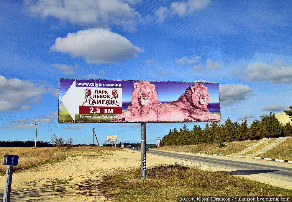 Сафари-парк Тайган в Крыму