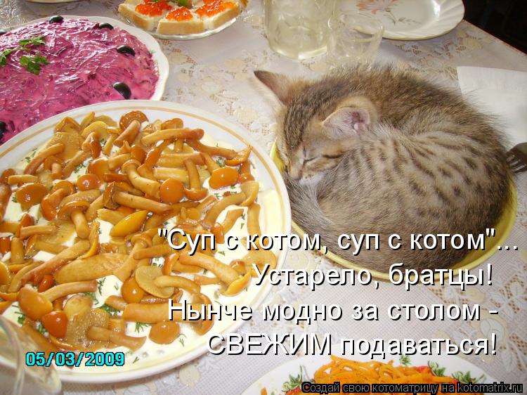 Котоматрица: "Суп с котом, суп с котом"... Устарело, братцы! Нынче модно за столом -  СВЕЖИМ подаваться!