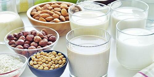 Какие продукты питания содержат больше всего белка