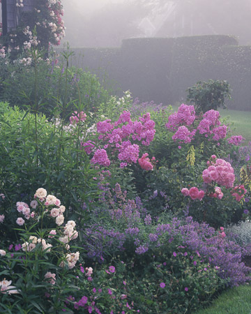 wild-garden-inspiration-flowers13.jpg wild-garden-inspiration-flowers13.jpg